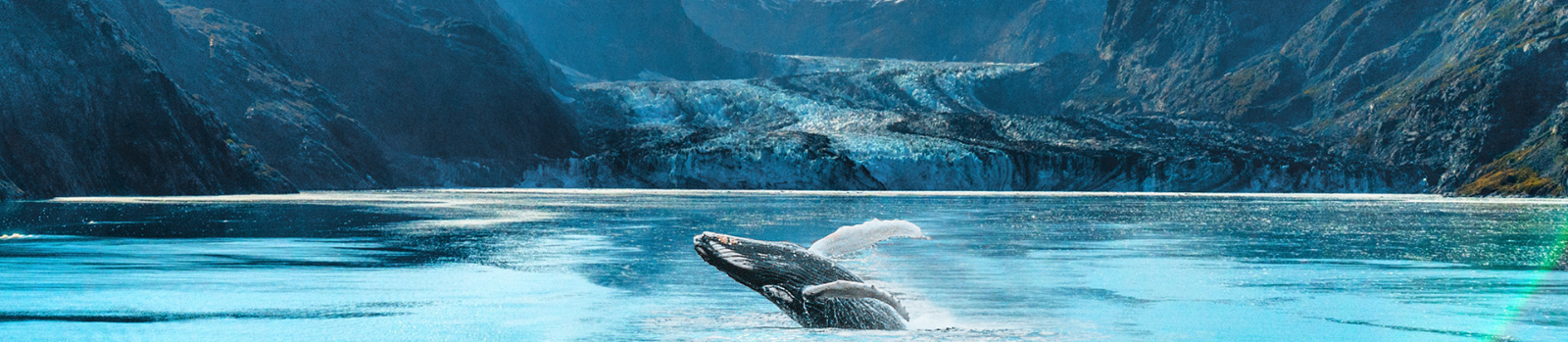 Travel insurance protection banner showing cruise ship and protection shield